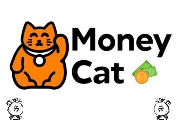 Money Cat cung cấp dịch vụ cho khách hàng có nợ xấu nhóm 2 vay vốn